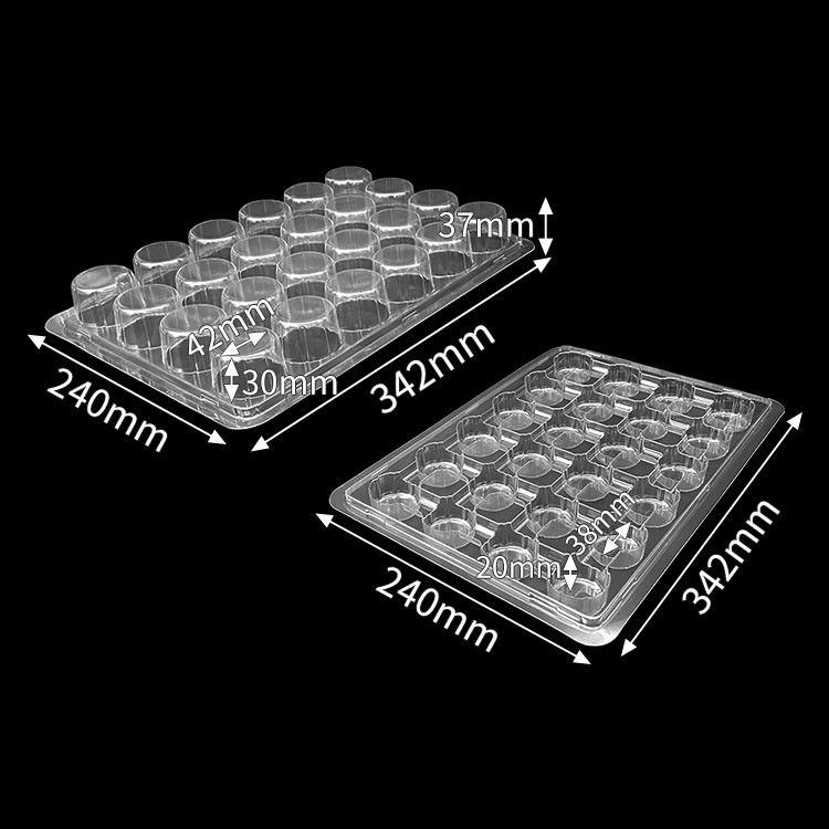 Customized Plastic Bakery Packaging Blister 24 Count Cupcake Containers