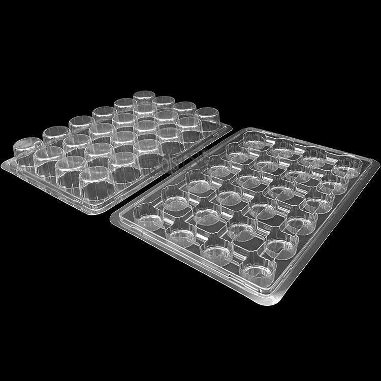 Customized Plastic Bakery Packaging Blister 24 Count Cupcake Containers
