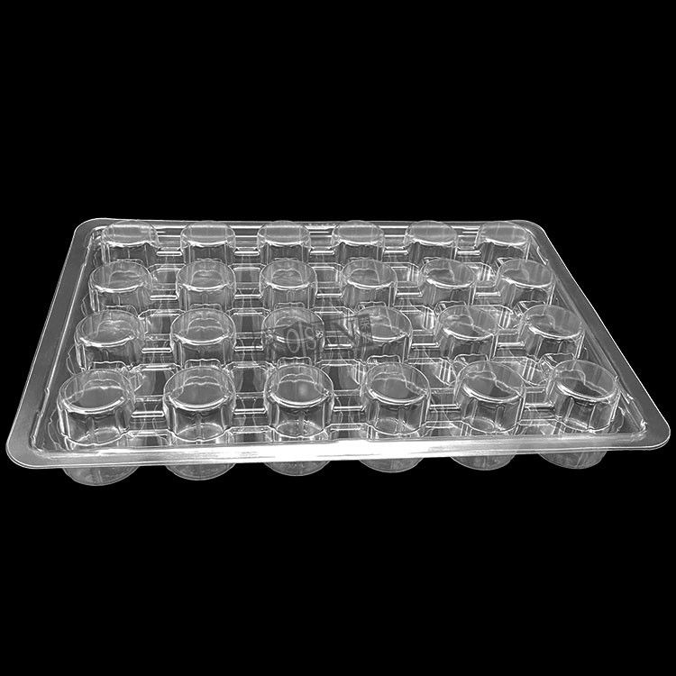 Customized Plastic Bakery Packaging Blister 24 Count Cupcake Containers