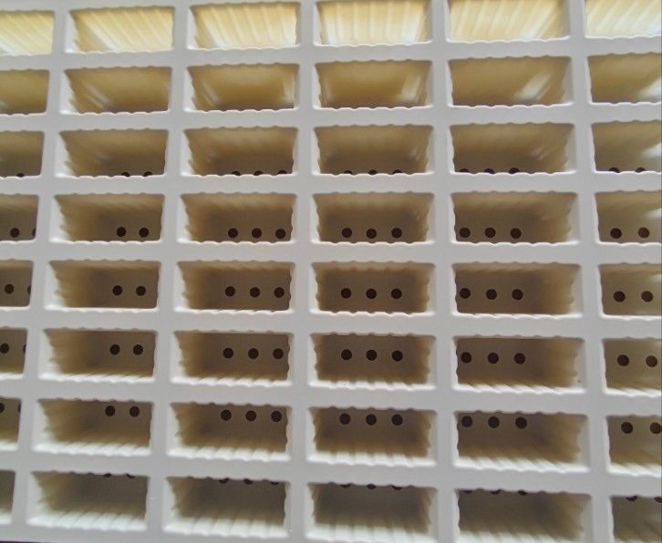 Custom Degradable Corn Starch Single Plant Nursery Tray Biodegradable Starch Based 100 Cells Plant Seed Tray With Hole