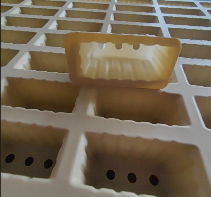 Custom Degradable Corn Starch Single Plant Nursery Tray Biodegradable Starch Based 100 Cells Plant Seed Tray With Hole