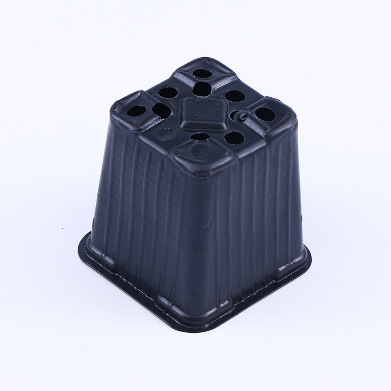 Customized Square Vacuum Formed Black PP PS Plastic Plant Planting Pot Basin Transplanting Garden Maintenance Tray