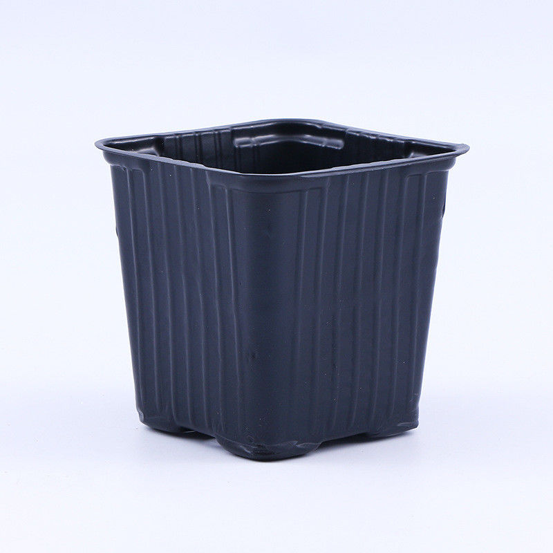 Customized Square Vacuum Formed Black PP PS Plastic Plant Planting Pot Basin Transplanting Garden Maintenance Tray