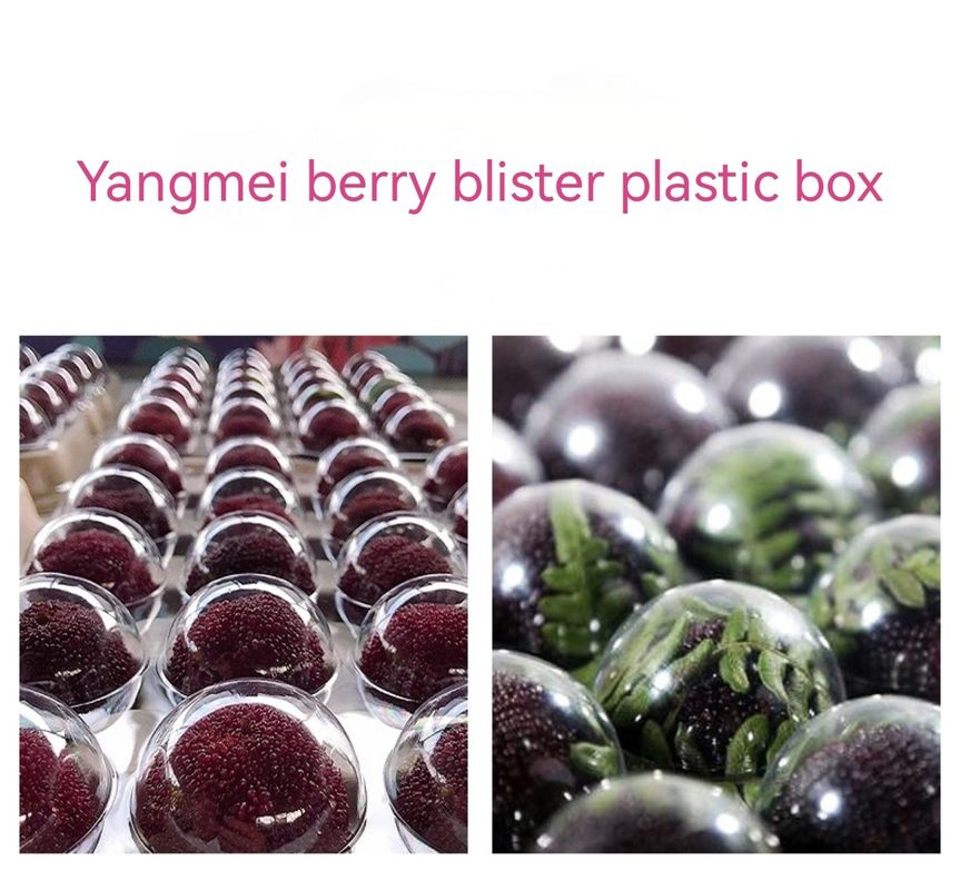 Custom Blister Transparent 54 Cavity Pet Berry Fruit Clamshell Box Disposable Yangmei Fruit Clear Plastic Container Packing Box