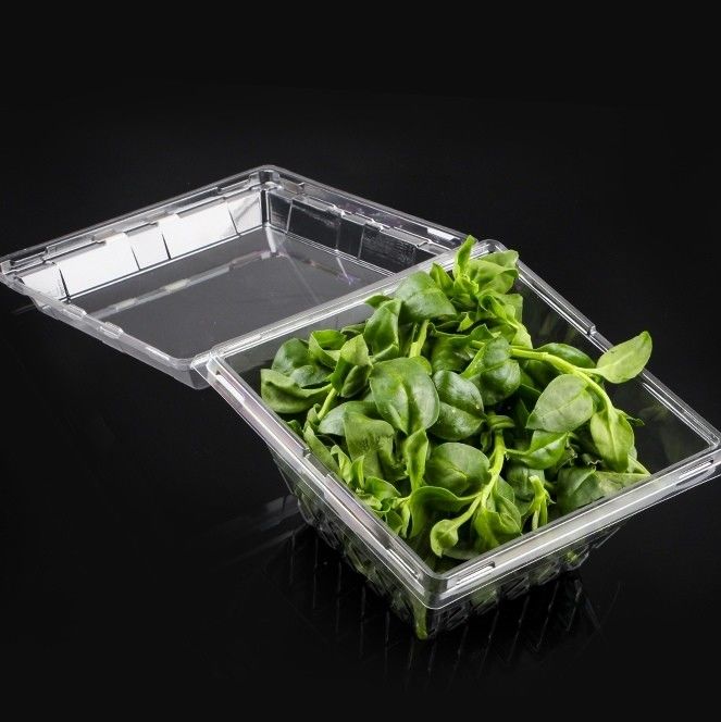 Customized Square Anti Fog PET Transparent Vegetable Lock Fresh Box Disposable Blister Herb Clamshell Packaging Lettuce Plastic Packaging