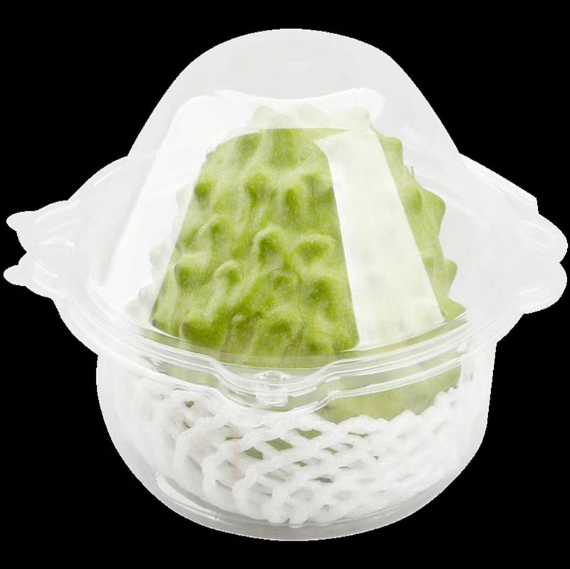 Customized Disposable Transparent Single Grid Shakya Fruit Blister Clamshell Packaging Mini Cavity PET Plastic Transparent Dragon Fruit Packaging Box
