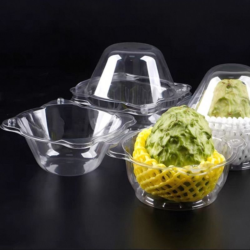 Customized Disposable Transparent Single Grid Shakya Fruit Blister Clamshell Packaging Mini Cavity PET Plastic Transparent Dragon Fruit Packaging Box