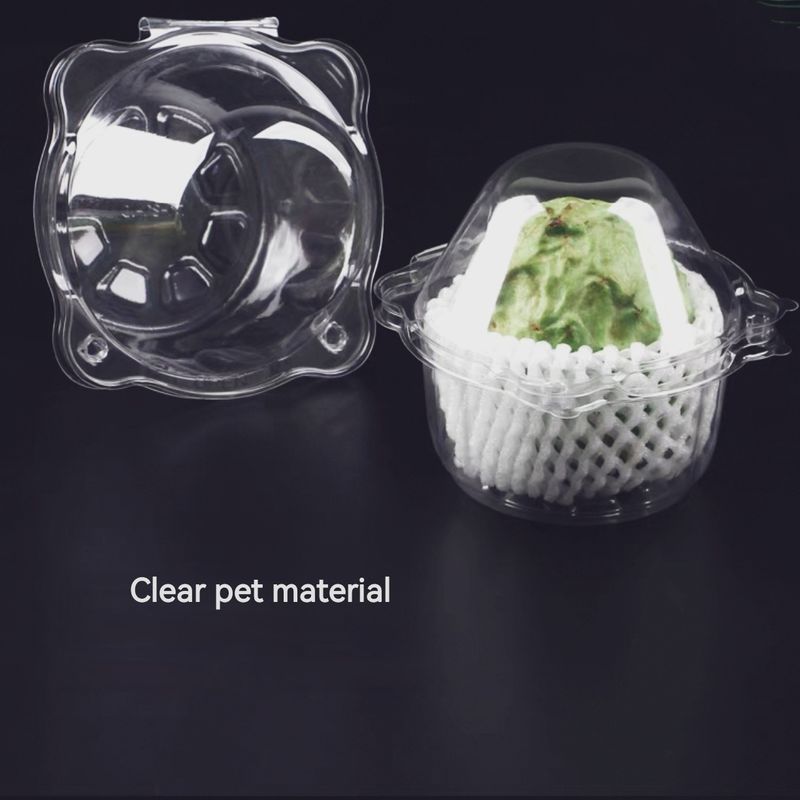 Customized Disposable Transparent Single Grid Shakya Fruit Blister Clamshell Packaging Mini Cavity PET Plastic Transparent Dragon Fruit Packaging Box