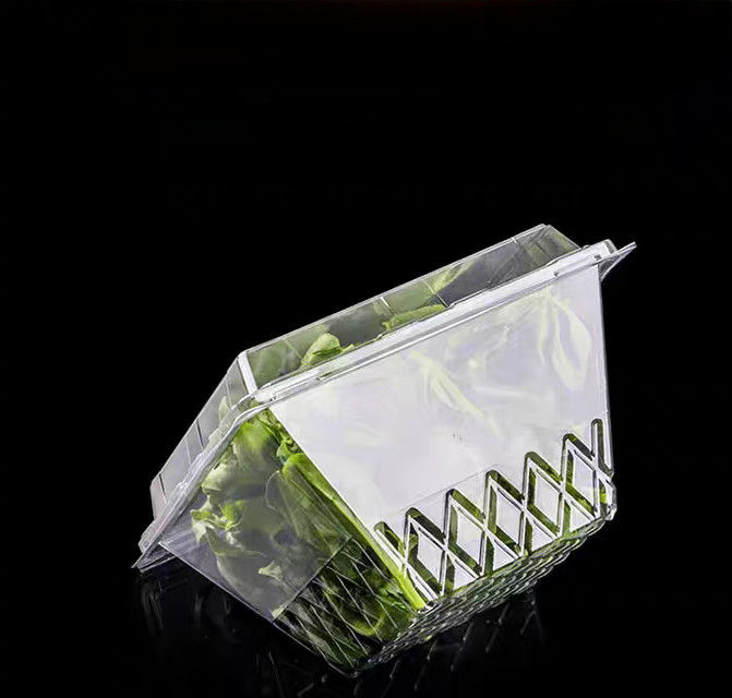 Customized Square Anti Fog PET Transparent Vegetable Lock Fresh Box Disposable Blister Herb Clamshell Packaging Lettuce Plastic Packaging