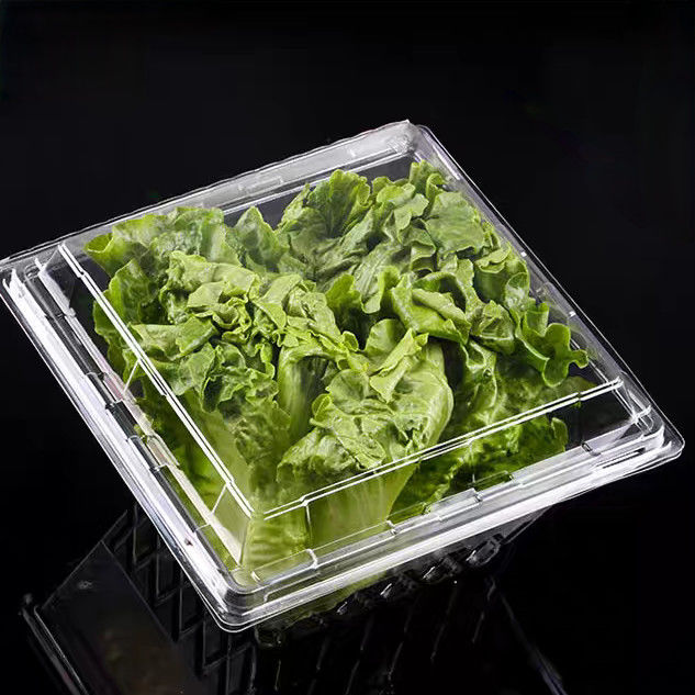 Customized Square Anti Fog PET Transparent Vegetable Lock Fresh Box Disposable Blister Herb Clamshell Packaging Lettuce Plastic Packaging