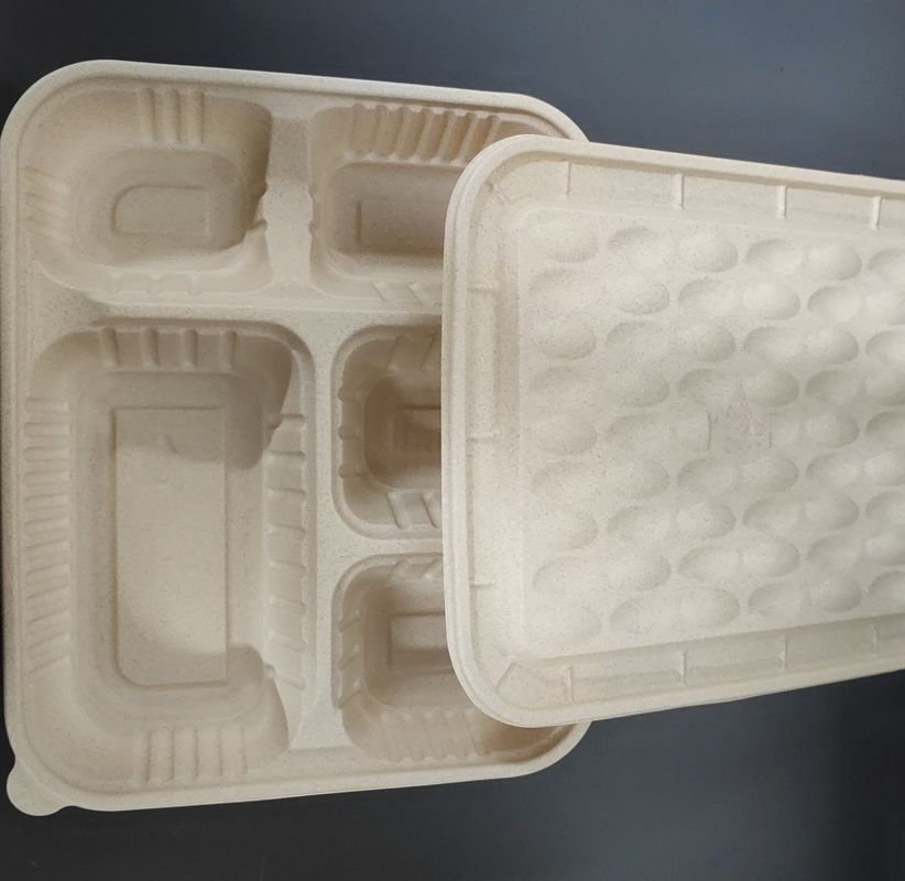 Nhập khẩu bán buôn 5 khoang khô gạo thân thiện với môi trường, hộp ăn trưa có thể phân hủy dựa trên tinh bột với nắp