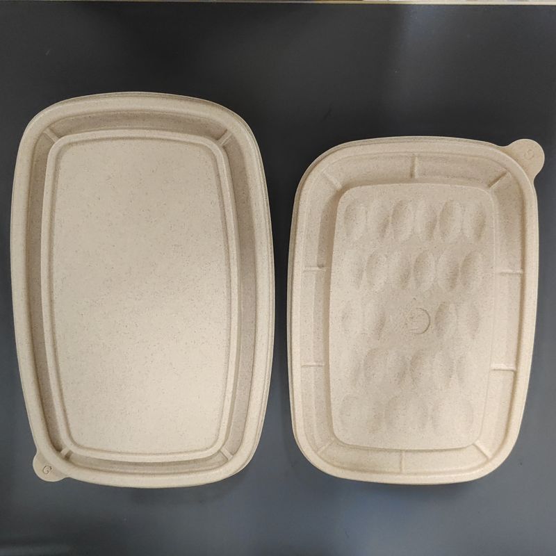 800ml Một lần sử dụng Rice Husk Fiber Pulp Takeaway Box Hỗn hợp thực phẩm đa phòng thân thiện với môi trường với nắp
