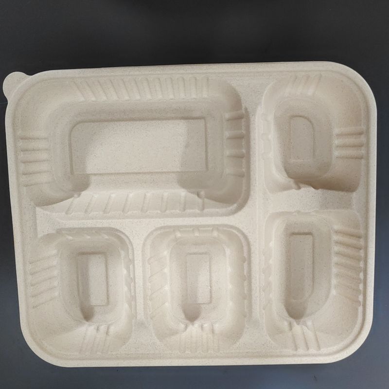 Nhập khẩu bán buôn 5 khoang khô gạo thân thiện với môi trường, hộp ăn trưa có thể phân hủy dựa trên tinh bột với nắp