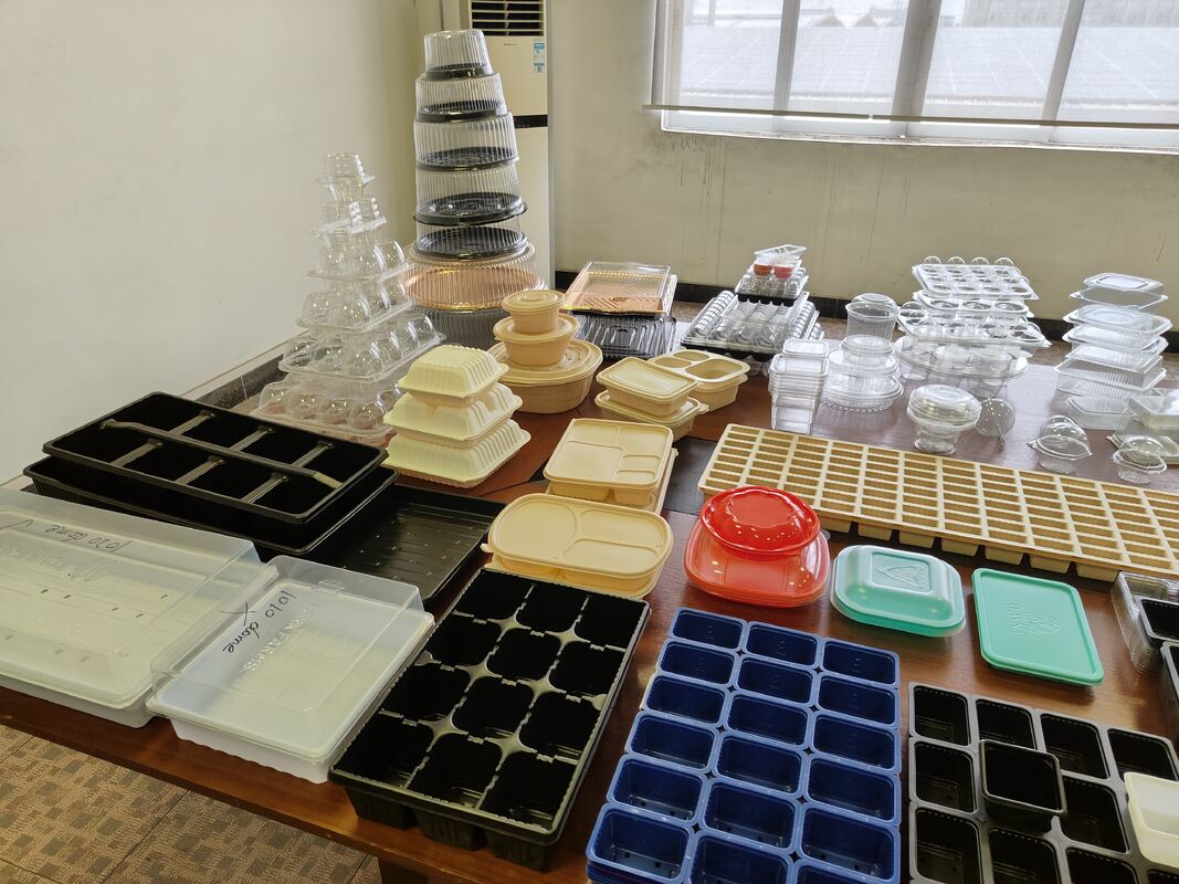 Customized Plastic Blister Factory Disposable Blister Food Grade PET PP Packaging Tray Packaging Container