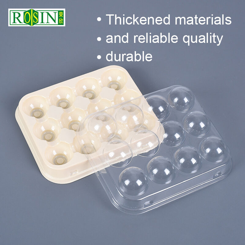 Customized disposable PET babyberry tray with 12 grid food grade vacuum formed inner tray and transparent lid