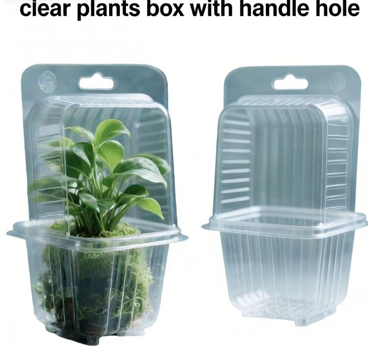 Customized disposable PET plastic blister green plant packaging with handle holes