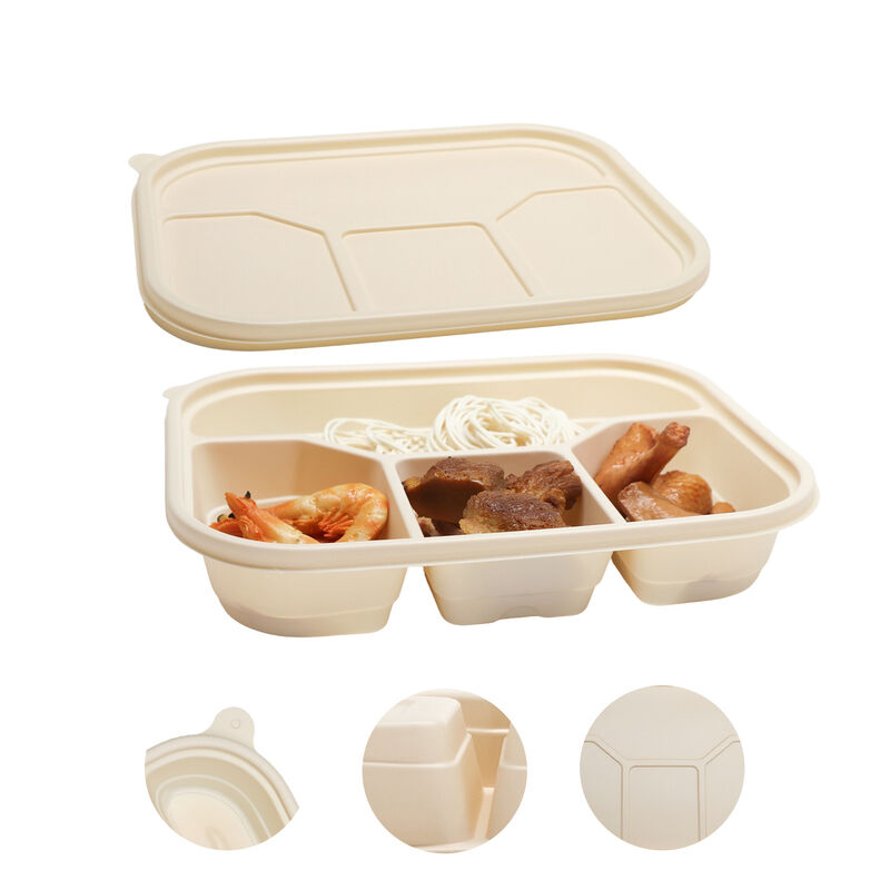 Customized disposable corn starch 4 cavity biodegradable food container with lid takeaway lunch box