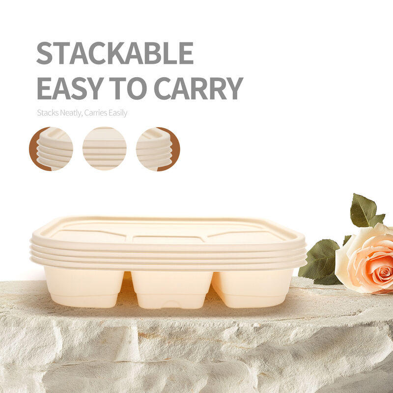Customized disposable corn starch 4 cavity biodegradable food container with lid takeaway lunch box