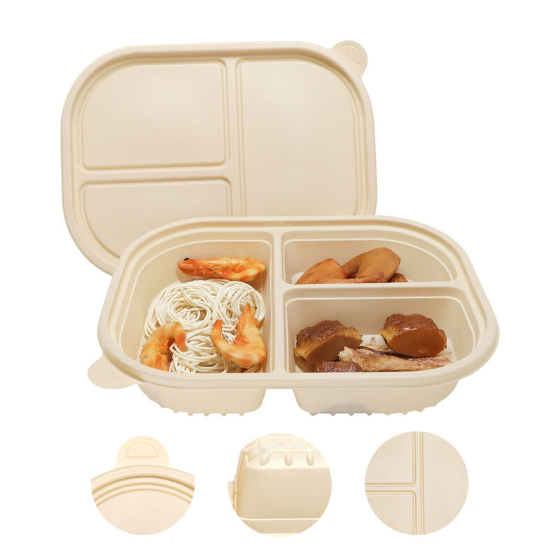 Customized 750ml Capacity 3 Compartment Industrial Compostable Corn Starch Food Container Biodegradable Lunch Box