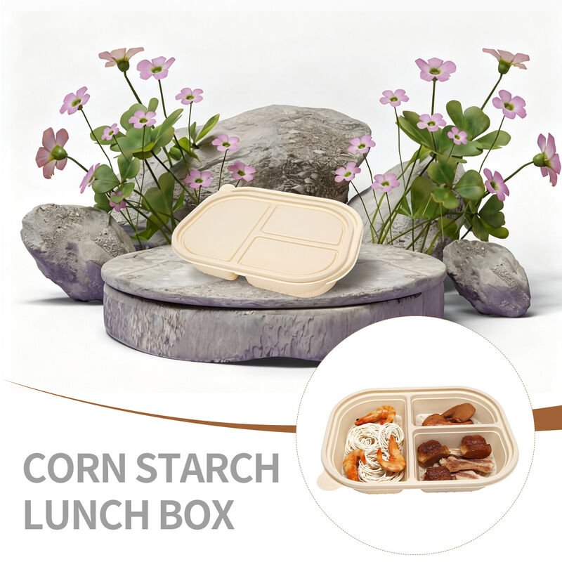 Customized 750ml Capacity 3 Compartment Industrial Compostable Corn Starch Food Container Biodegradable Lunch Box