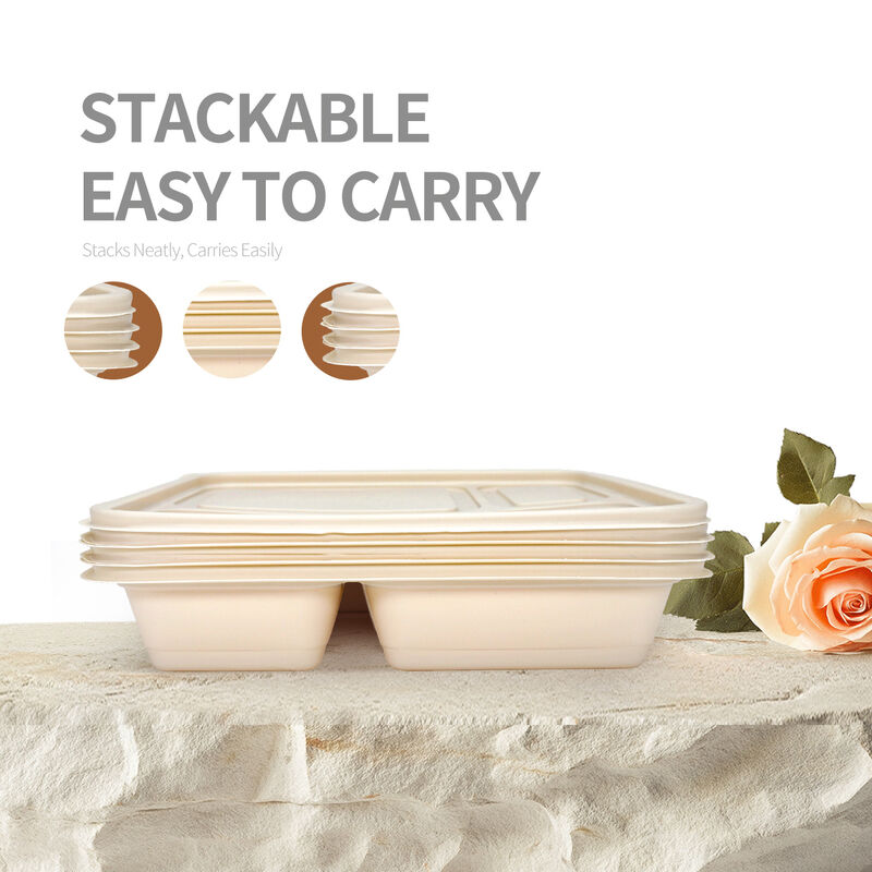 Corn Starch Lunch Food Container with Compartment Eco Friendly Packaging Disposable Biodegradable Cornstarch Lunch Box