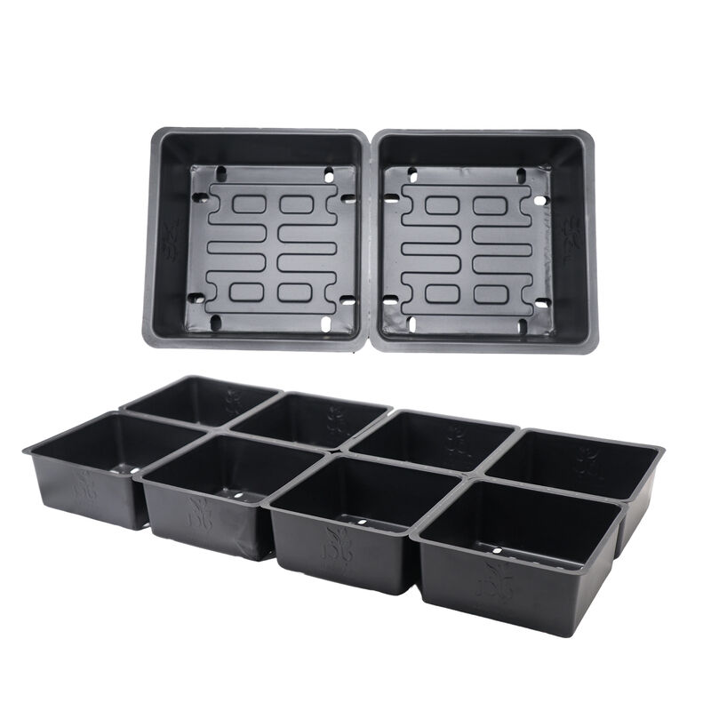 Customized 8 cell rectangular plant tray PP plastic vacuum formed hydroponic seed germination tray with holes
