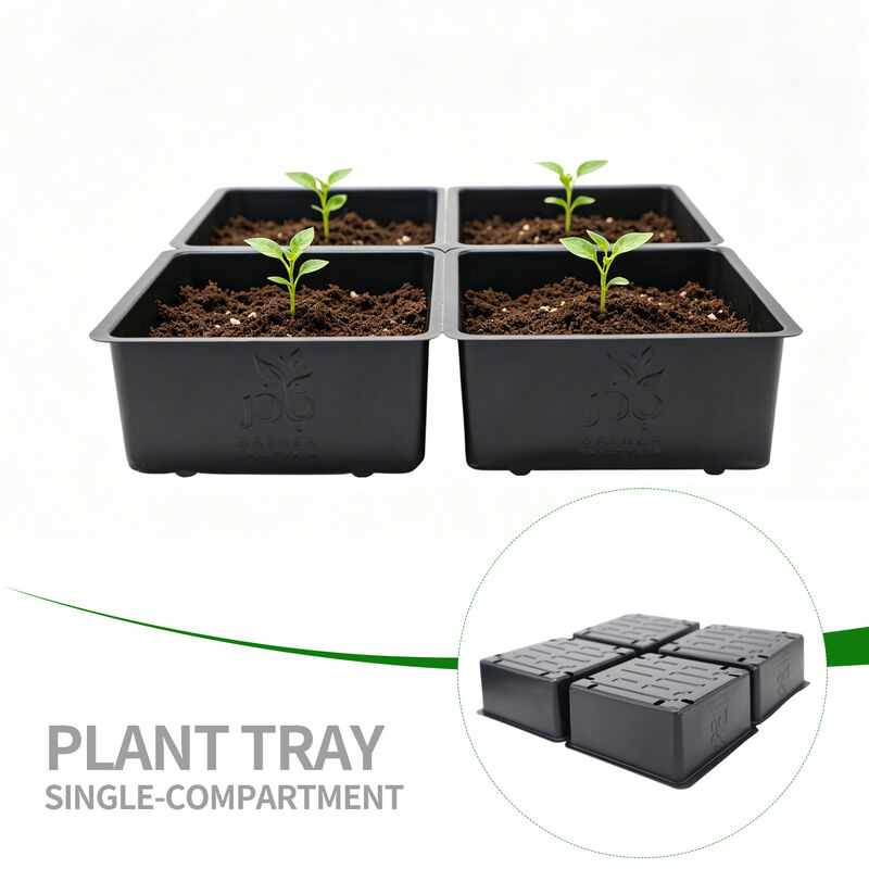 Customized 8 cell rectangular plant tray PP plastic vacuum formed hydroponic seed germination tray with holes