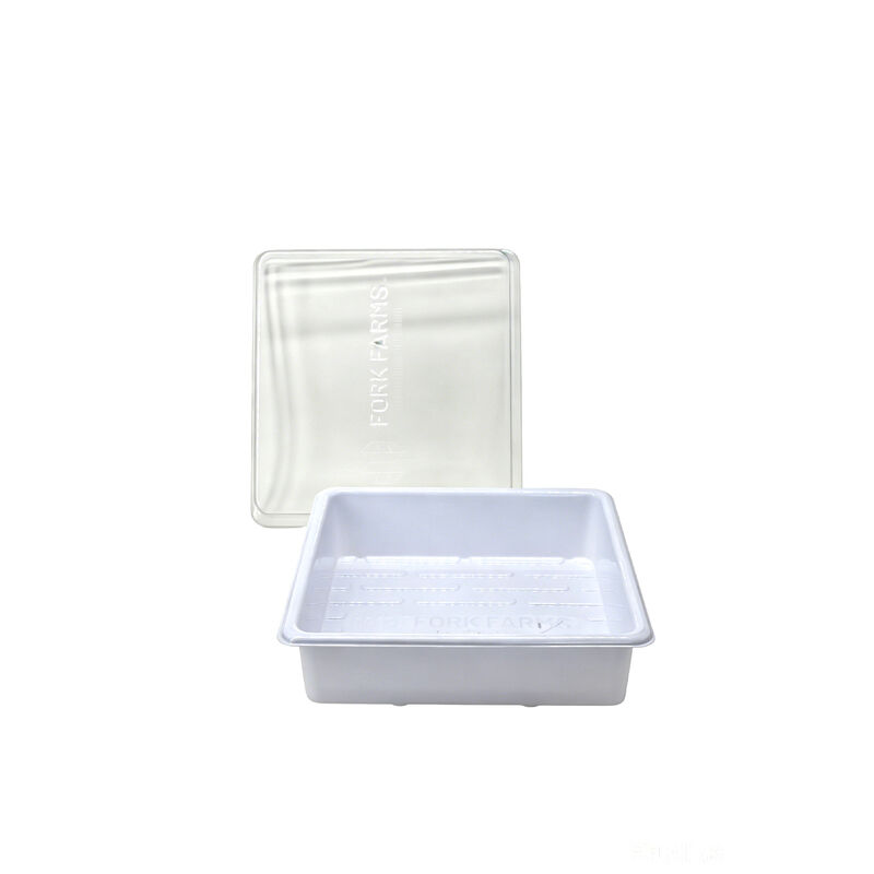 Customized white PET square green micro plant hydroponic cat grass seed cultivation tray with transparent lid