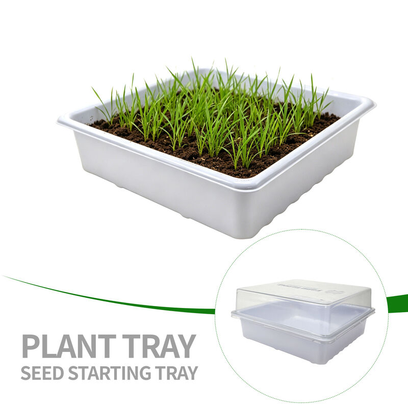Customized white PET square green micro plant hydroponic cat grass seed cultivation tray with transparent lid