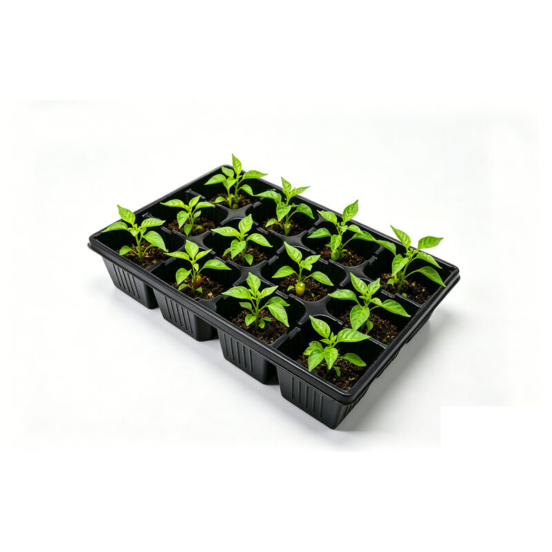 Customized 12 grid vacuum formed plastic thickened black PP plant seed seedling planting tray with holes