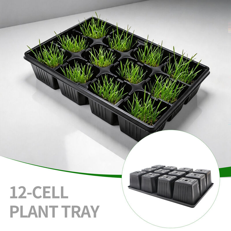 Customized 12 grid vacuum formed plastic thickened black PP plant seed seedling planting tray with holes