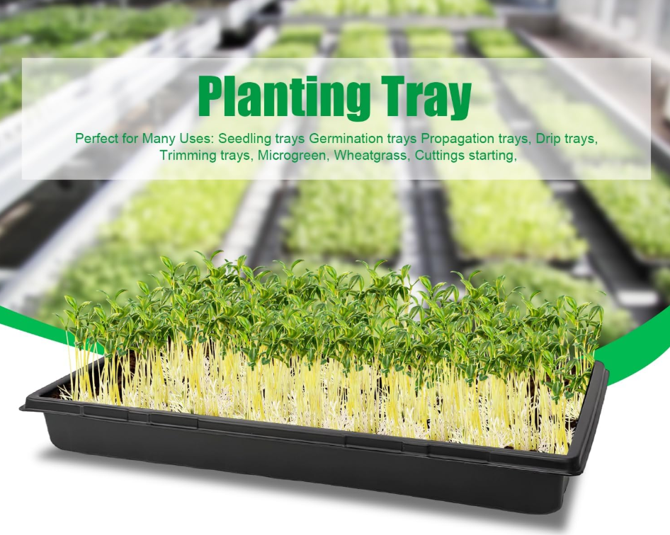 Greenhouse Hydroponic Rectangle Heavy Duty Reusable PS Plastic Nursery Flat Seedling Microgreen Growing Tray Black