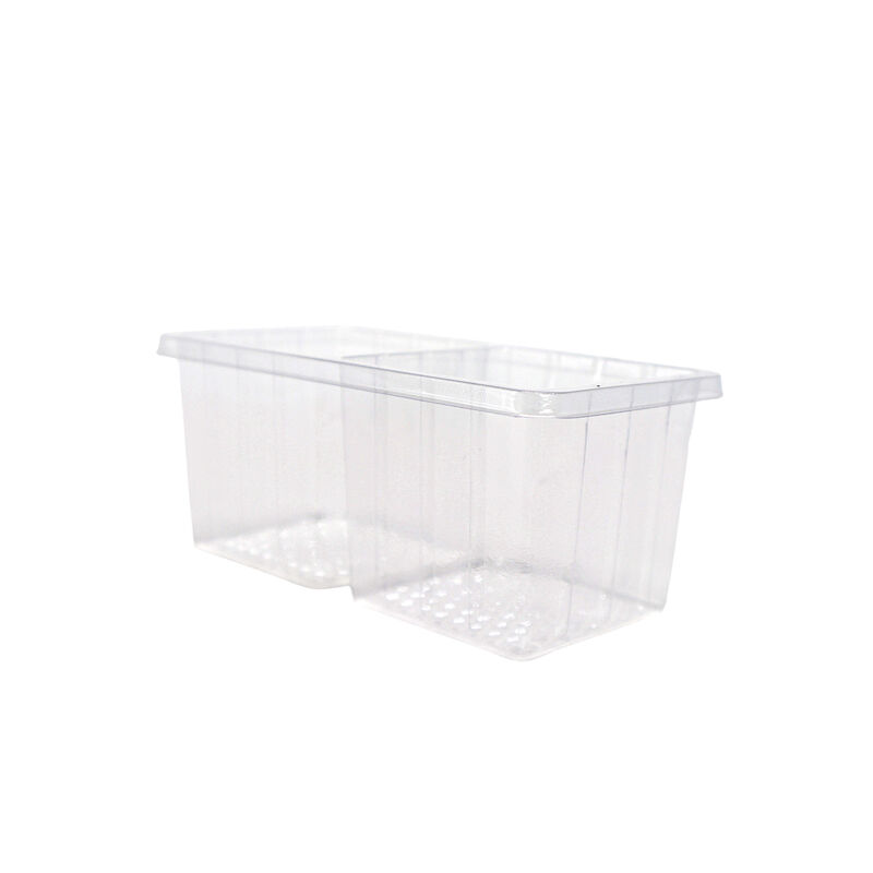 2 square PET transparent blister tray with transparent cover for biscuit inner tray