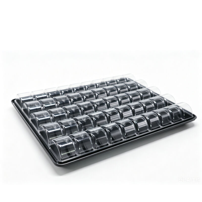 Rosinpack Customized Disposable 5 × 10 Grid Black Bottom Macaron Blister Box with Transparent Cover