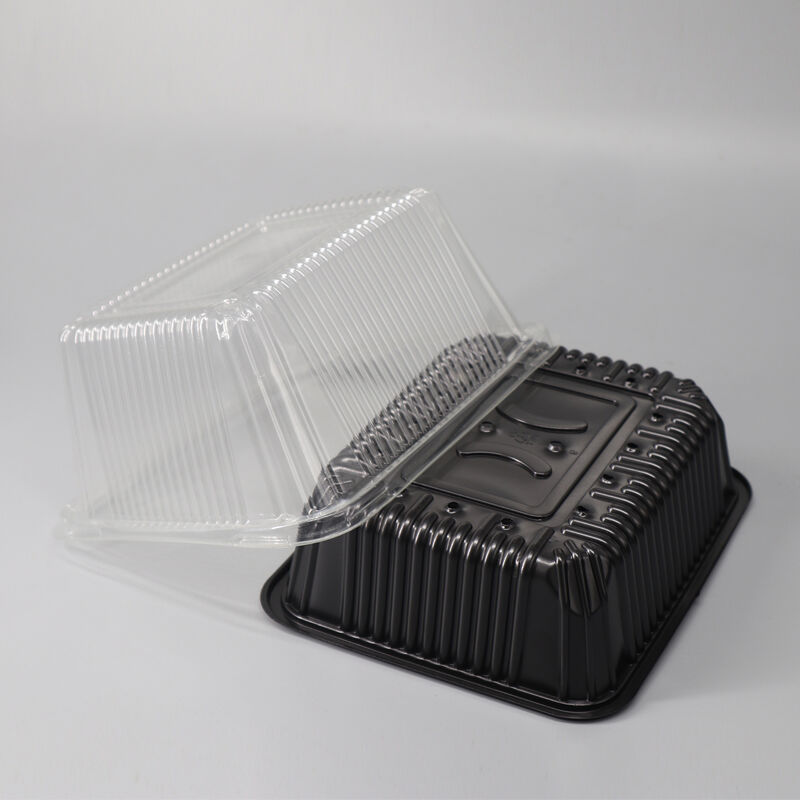 Black PS perforated bottom tray transparent PET high cover bean sprout cultivation and planting sales box