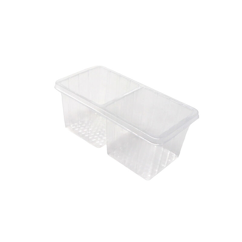 custom pet 2 compartment blister cookie plastic tray with lid